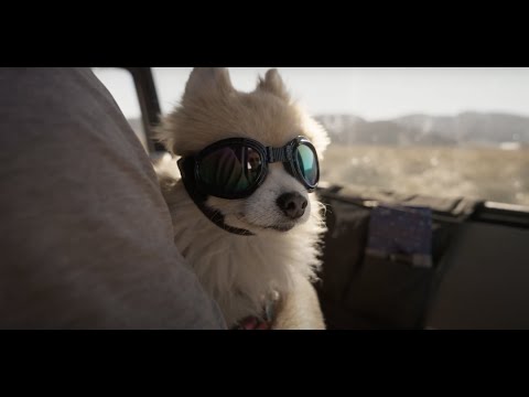 Why We Roam | Ep 4 | Driven to Adventures Why We Roam | Ep 4 | Driven to Adventures