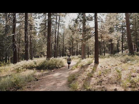 Why We Roam | Ep 1 | Jaime Lozoya Why We Roam | Ep 1 | Jaime Lozoya